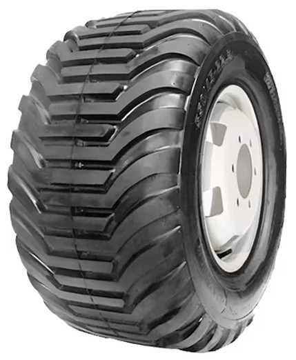 QH643  Forerunner